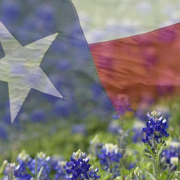 Meet your Posher, Vicki - Picture 1 of 1